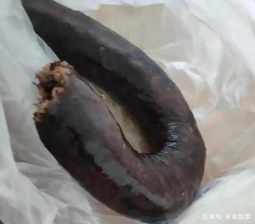 这8道黑暗美食，一道比一道惊艳，最后一道专治各种贪食